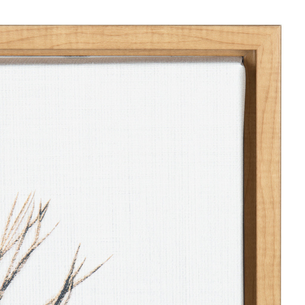 Sylvie Peacock Feather Framed Canvas by Simon Te of Tai Prints