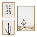 Sylvie Lone Joshua Tree, Group of Cacti and Film Grain Cactus 1 Framed Canvas Art Set of 3 by Various Artists