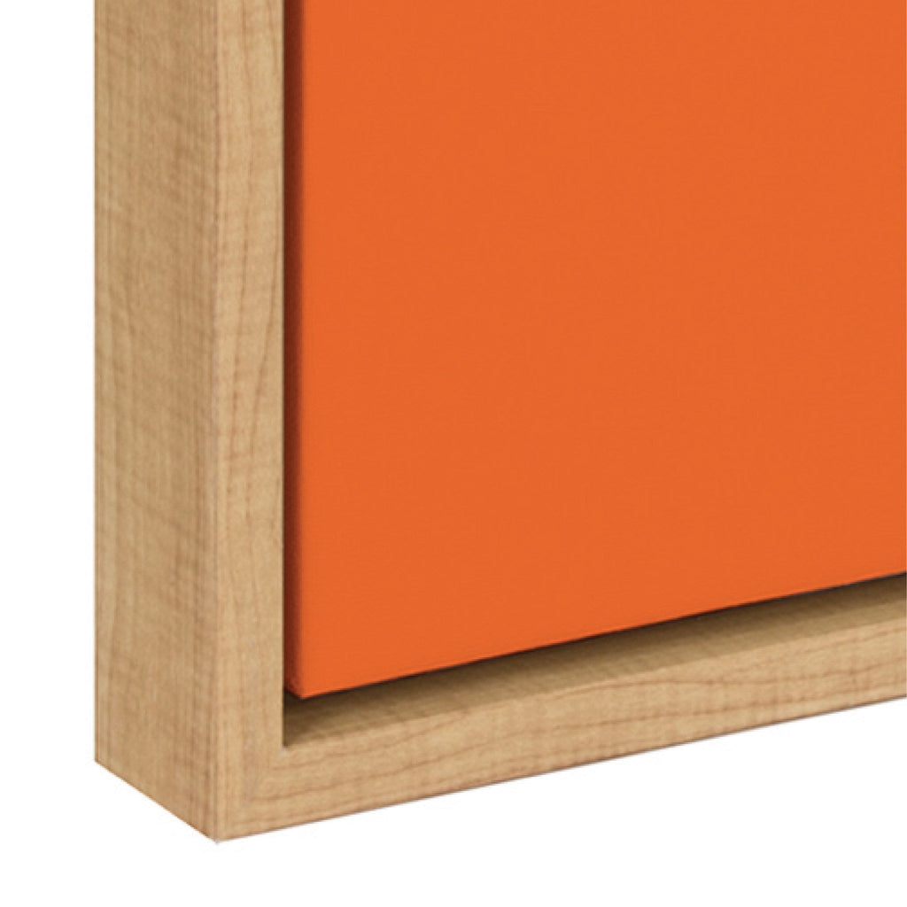 Sylvie Mid Century Modern Patterns Framed Canvas Set of 2 by Rachel Lee of My Dream Wall