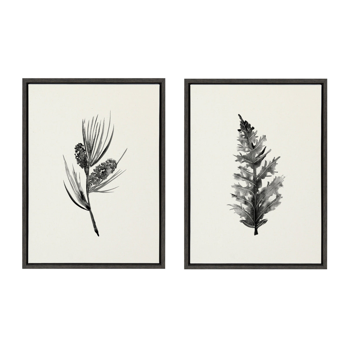 Sylvie Vintage Botanical 3 and 4 Framed Canvas Set of 2 by Teju Reval of SnazzyHues