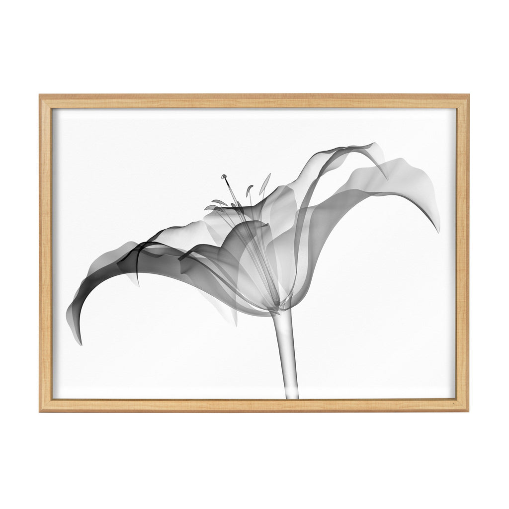 Blake Lily X Ray Floral BW Framed Printed Art by The Creative Bunch Studio