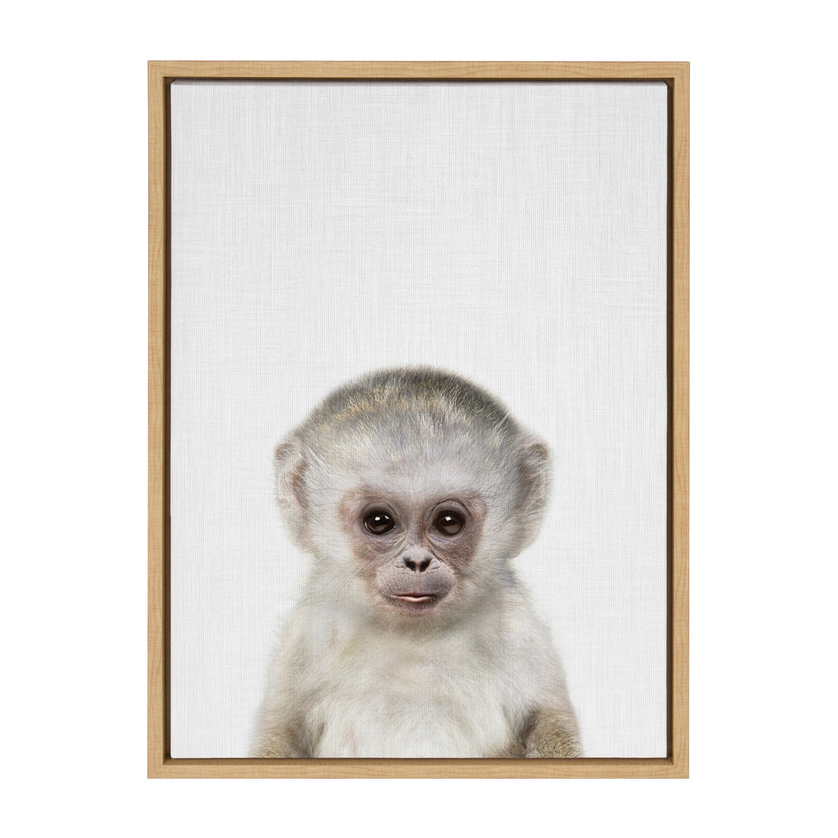 Sylvie Monkey Color Framed Canvas by Simon Te of Tai Prints