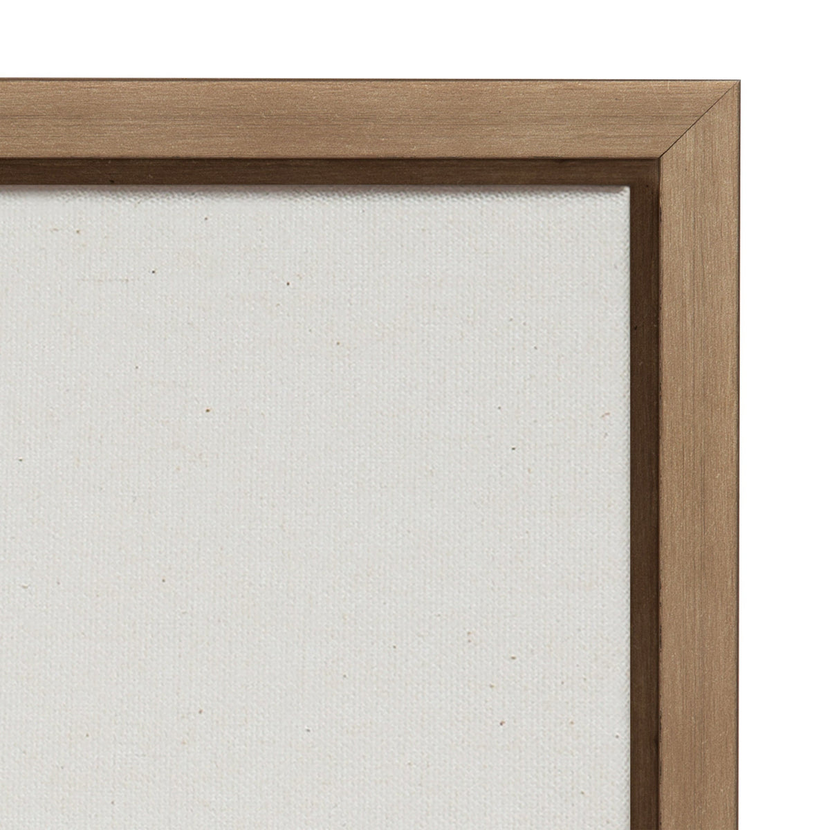 Sylvie Just Three Feathers Framed Canvas by Maja Mitrovic of Makes My Day Happy