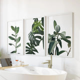White Frame - no mat