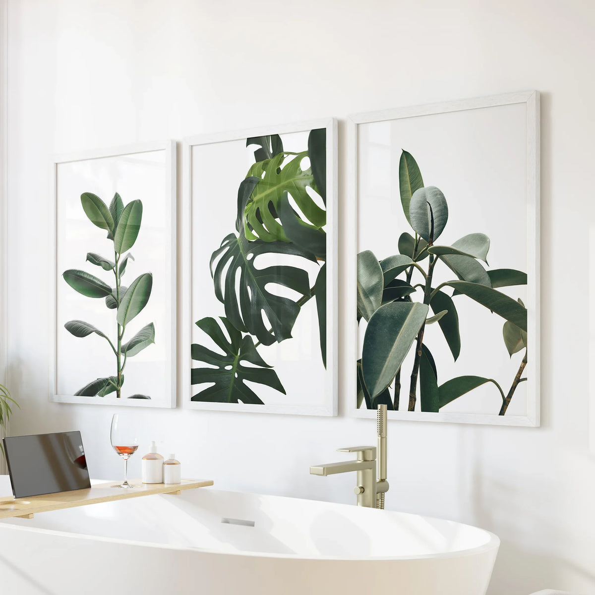 Botanical Set of 3 Prints. Tropical Monstera, Rubber Plant