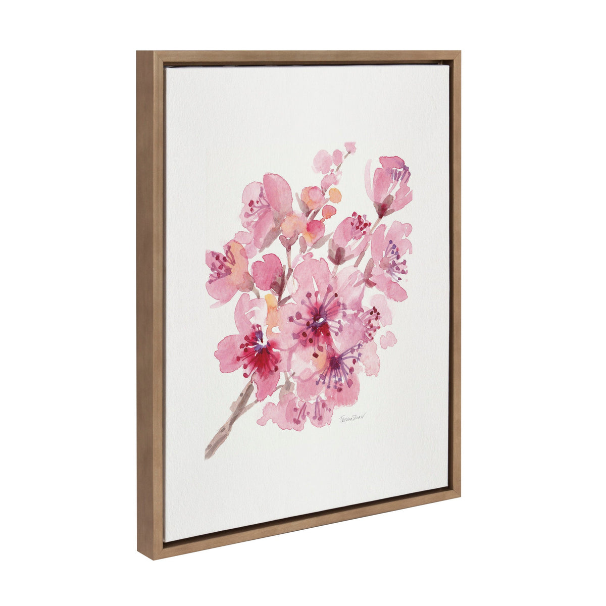 Sylvie Cherry Blossom 2 Framed Canvas by Patricia Shaw