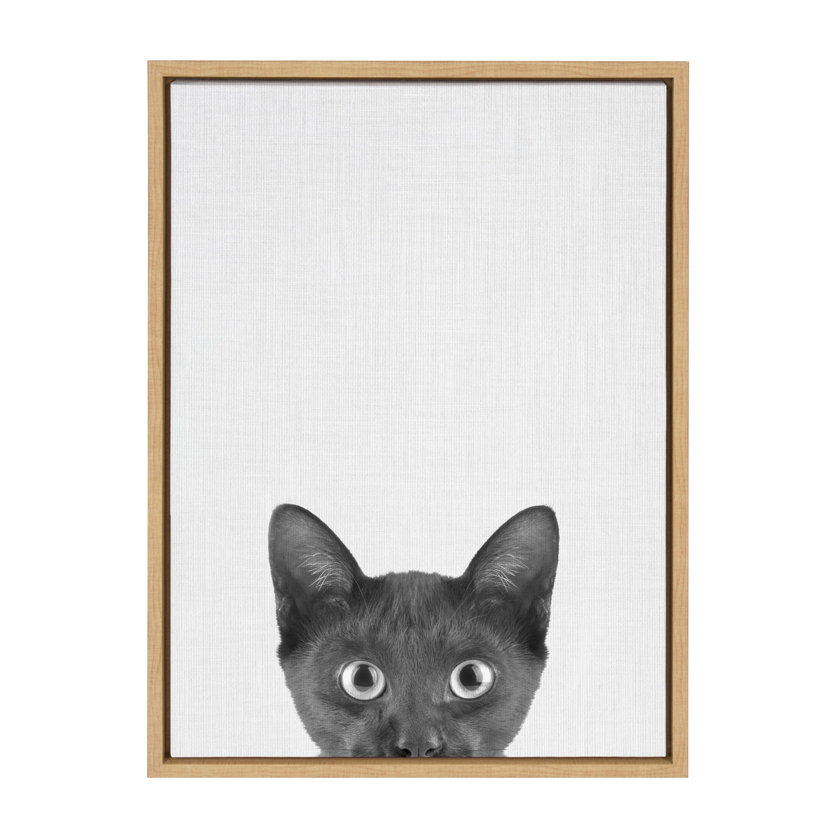 Sylvie Black Kitten Framed Canvas by Simon Te of Tai Prints
