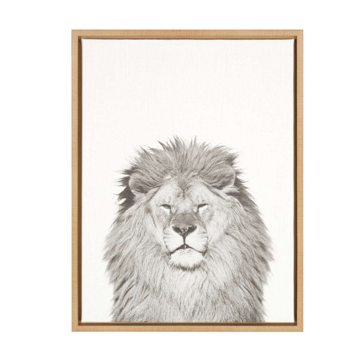 Sylvie Lion Framed Canvas by Simon Te Tai