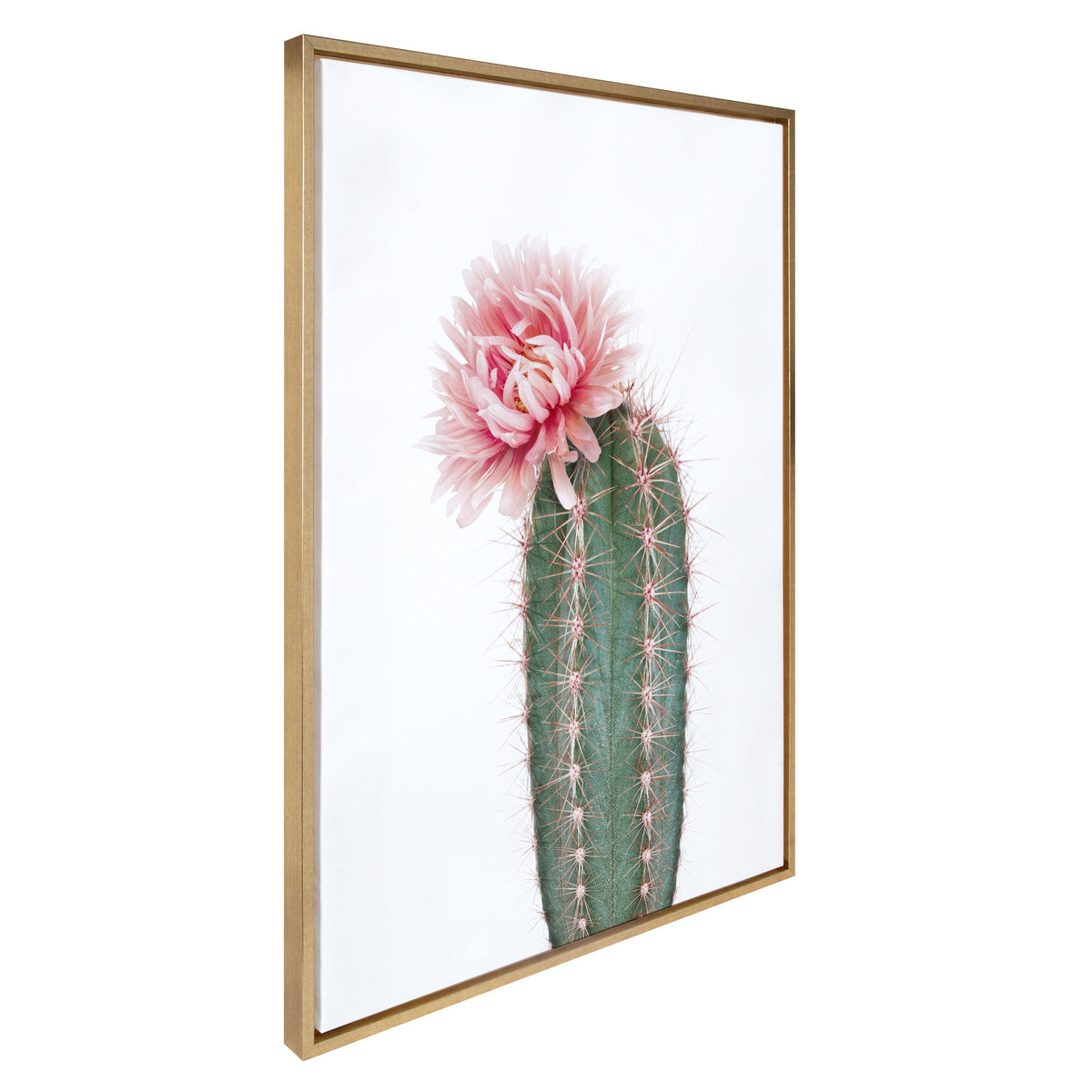 Sylvie Pink Cactus Flower Framed Canvas by Amy Peterson Art Studio