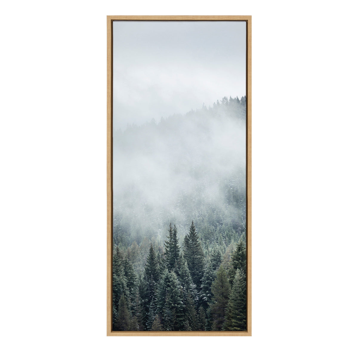 Sylvie Evergreen Dream Framed Canvas by Emiko and Mark Franzen of F2Images