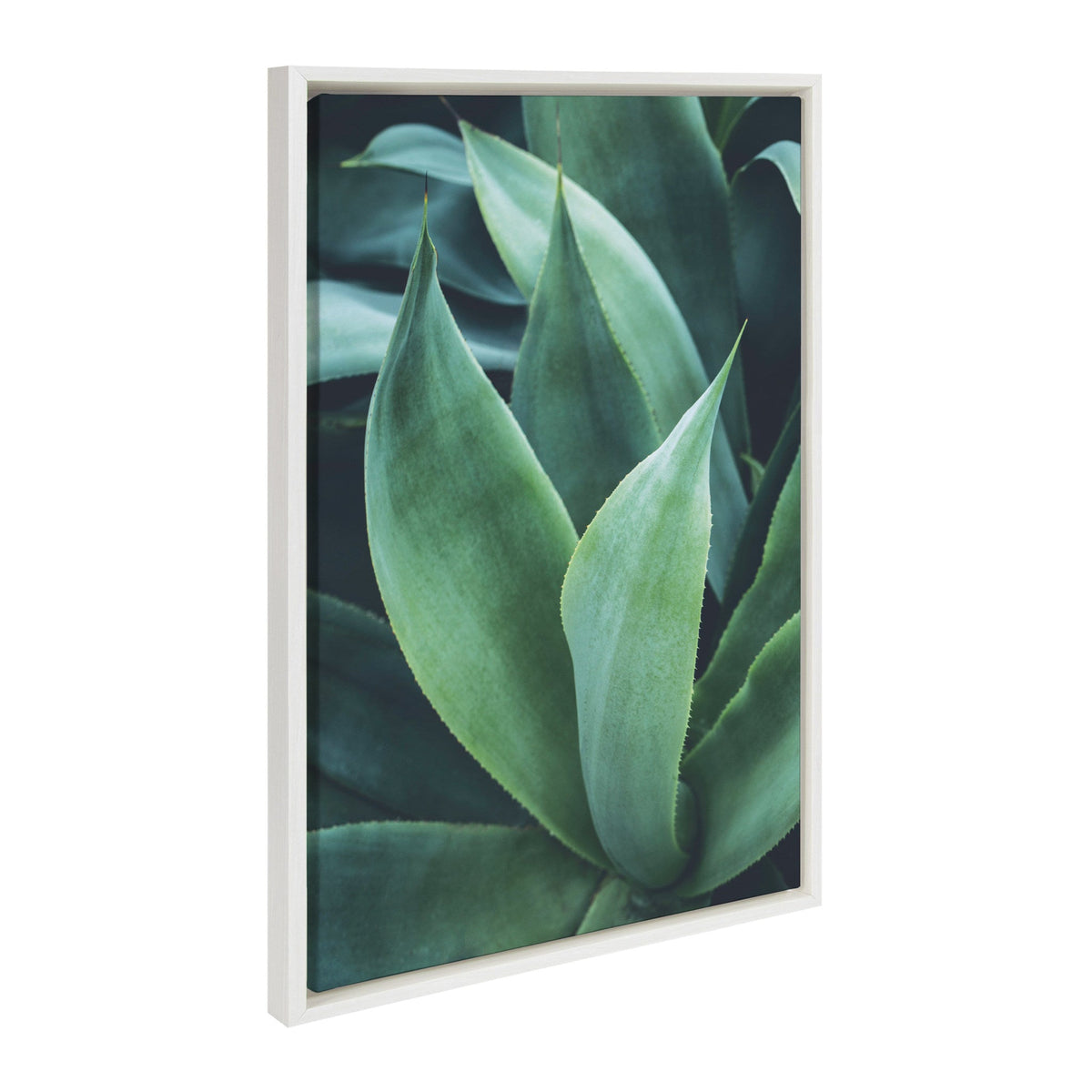 Sylvie Agave II Framed Canvas by F2 Images