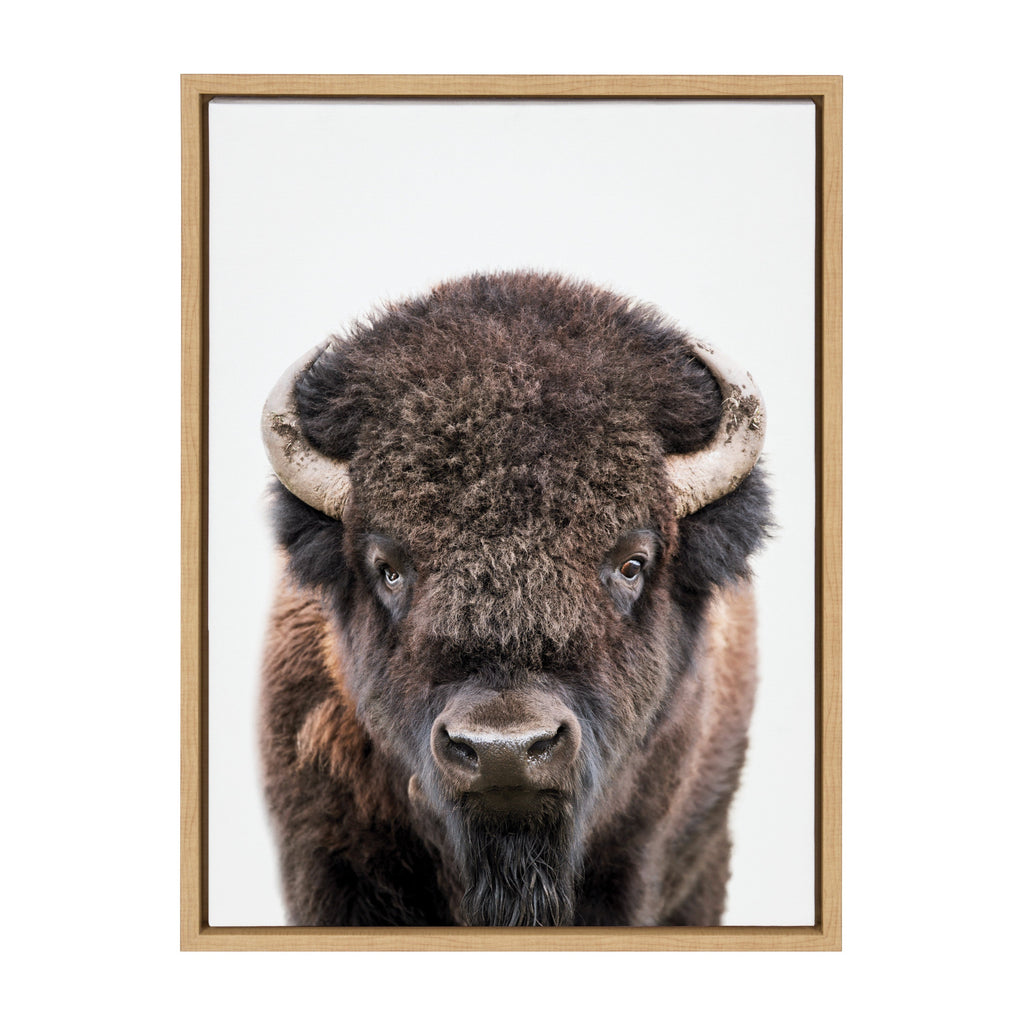 Sylvie Bison Portrait Framed Canvas by Amy Peterson Art Studio