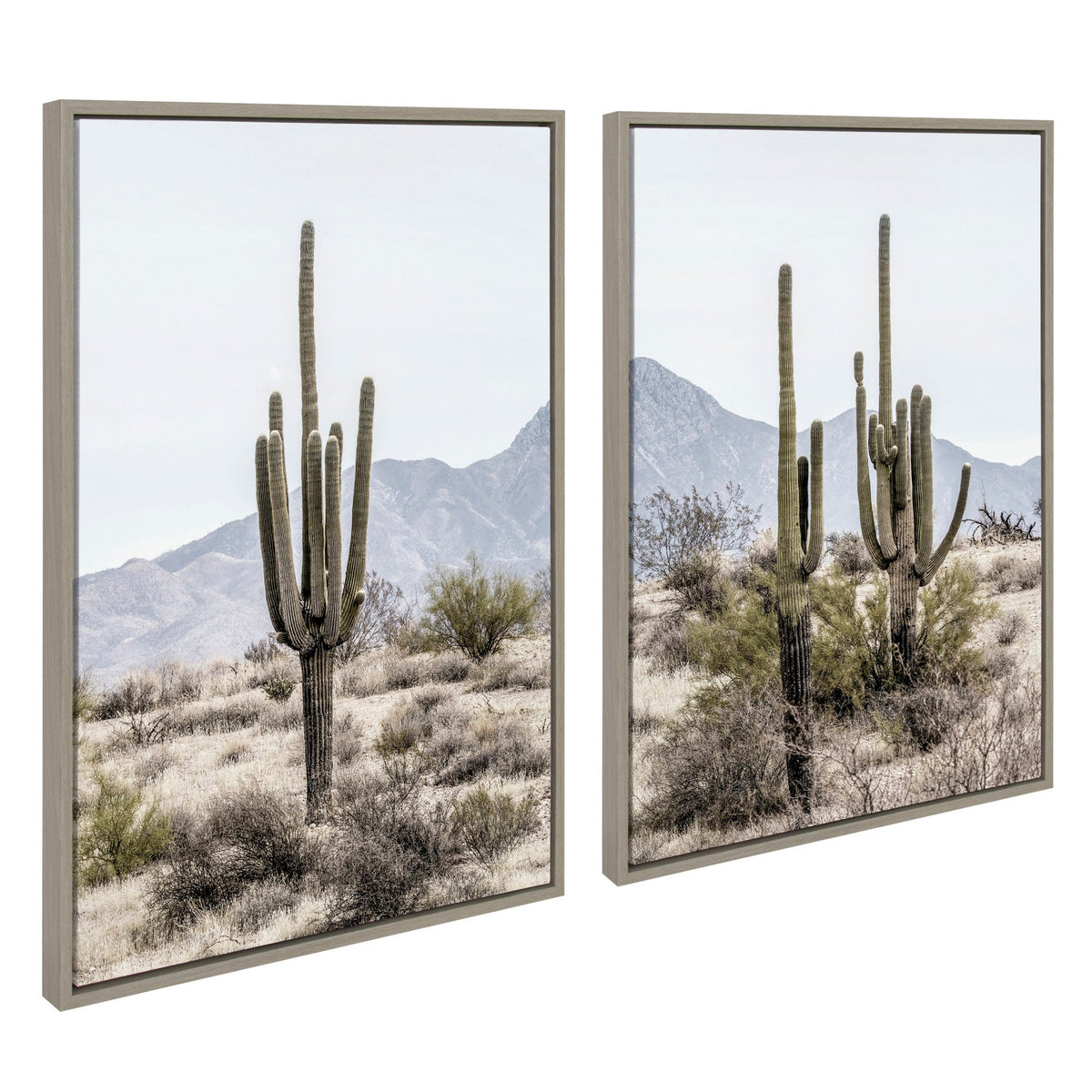 Sylvie Tall Saguaro Cacti Desert Mountain 1 and 2 Framed Canvas Set of 2 by The Creative Bunch Studio
