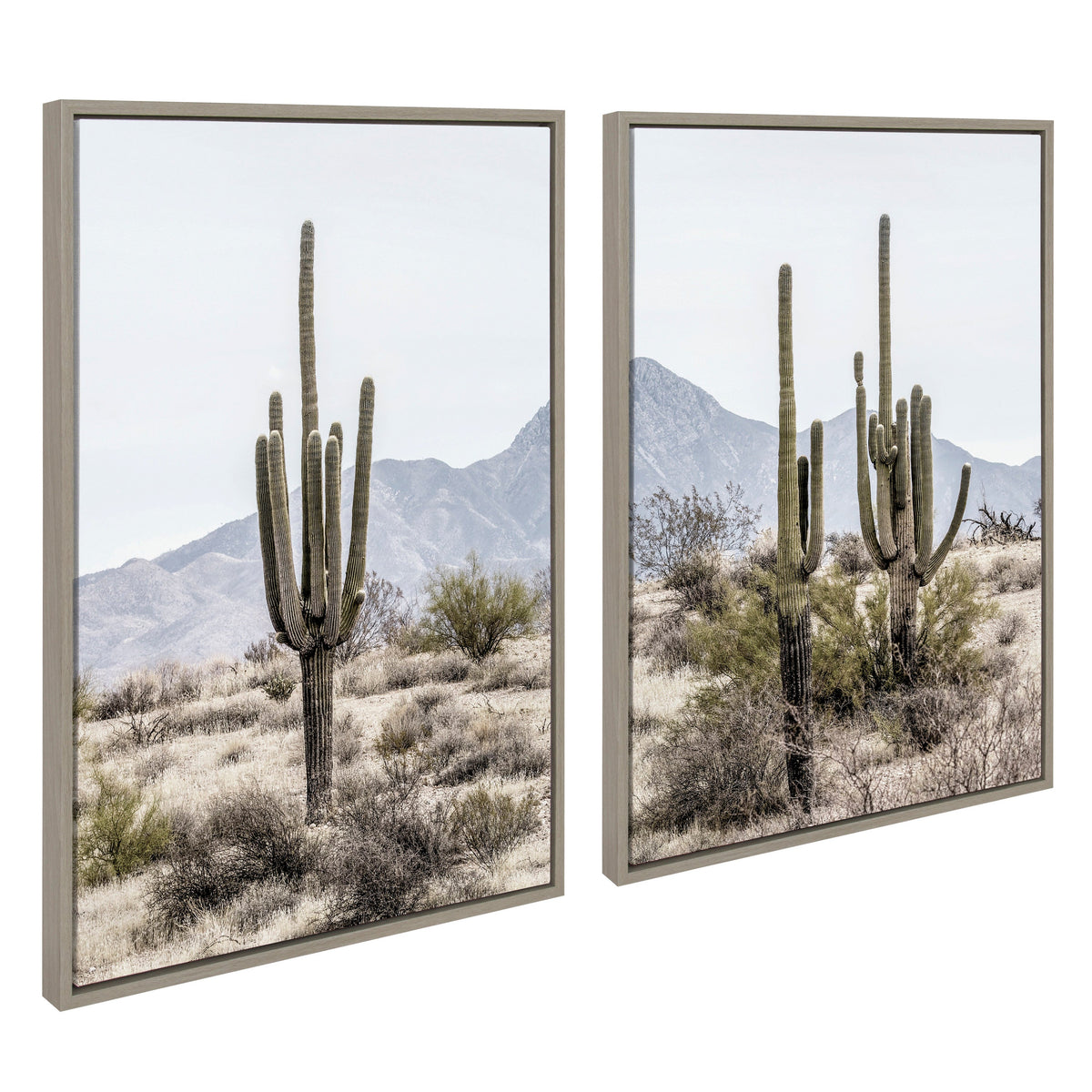 Sylvie Tall Saguaro Cacti Desert Mountain 1 and 2 Framed Canvas Set of 2 by The Creative Bunch Studio