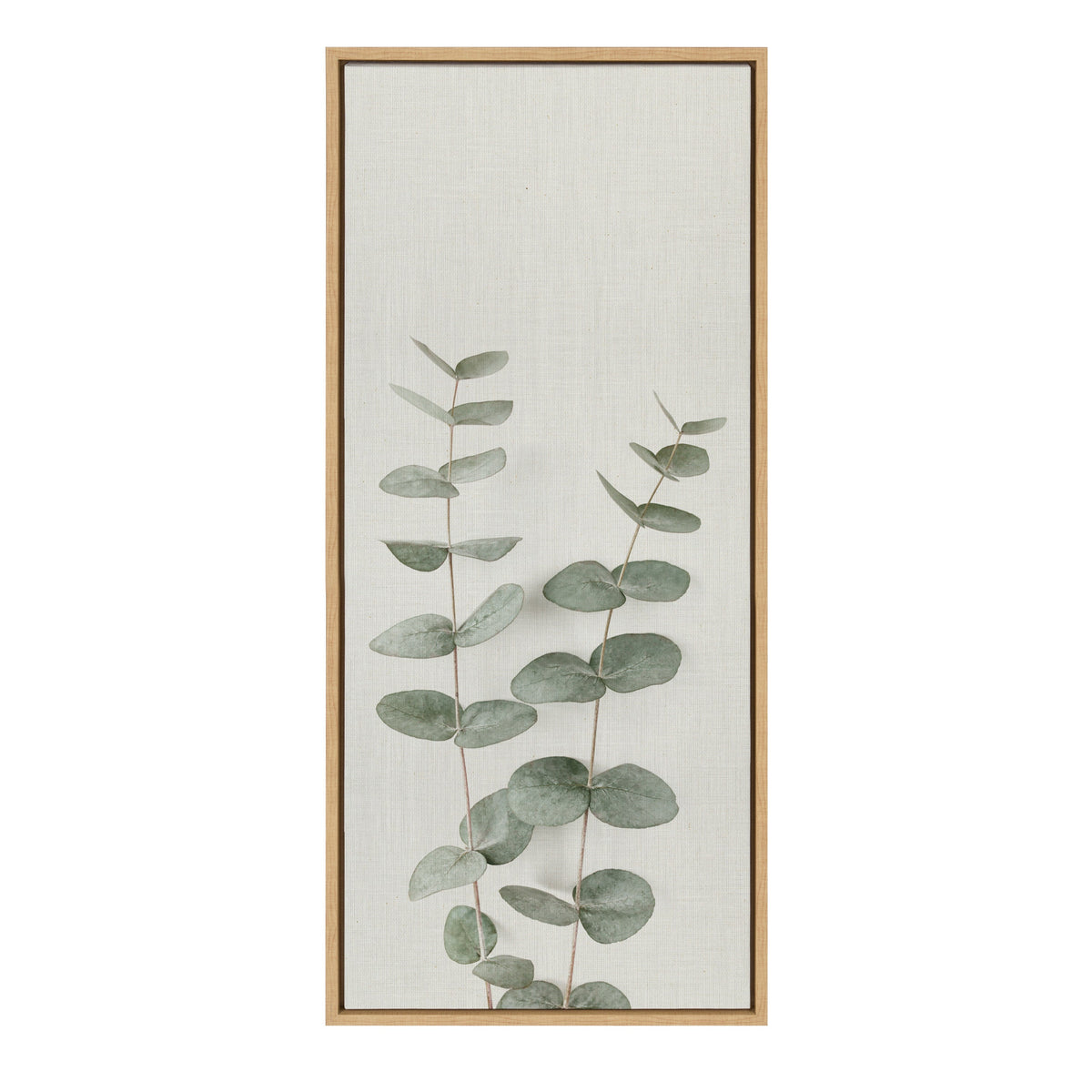 Sylvie Eucalyptus Botanical II Framed Canvas by The Creative Bunch Studio