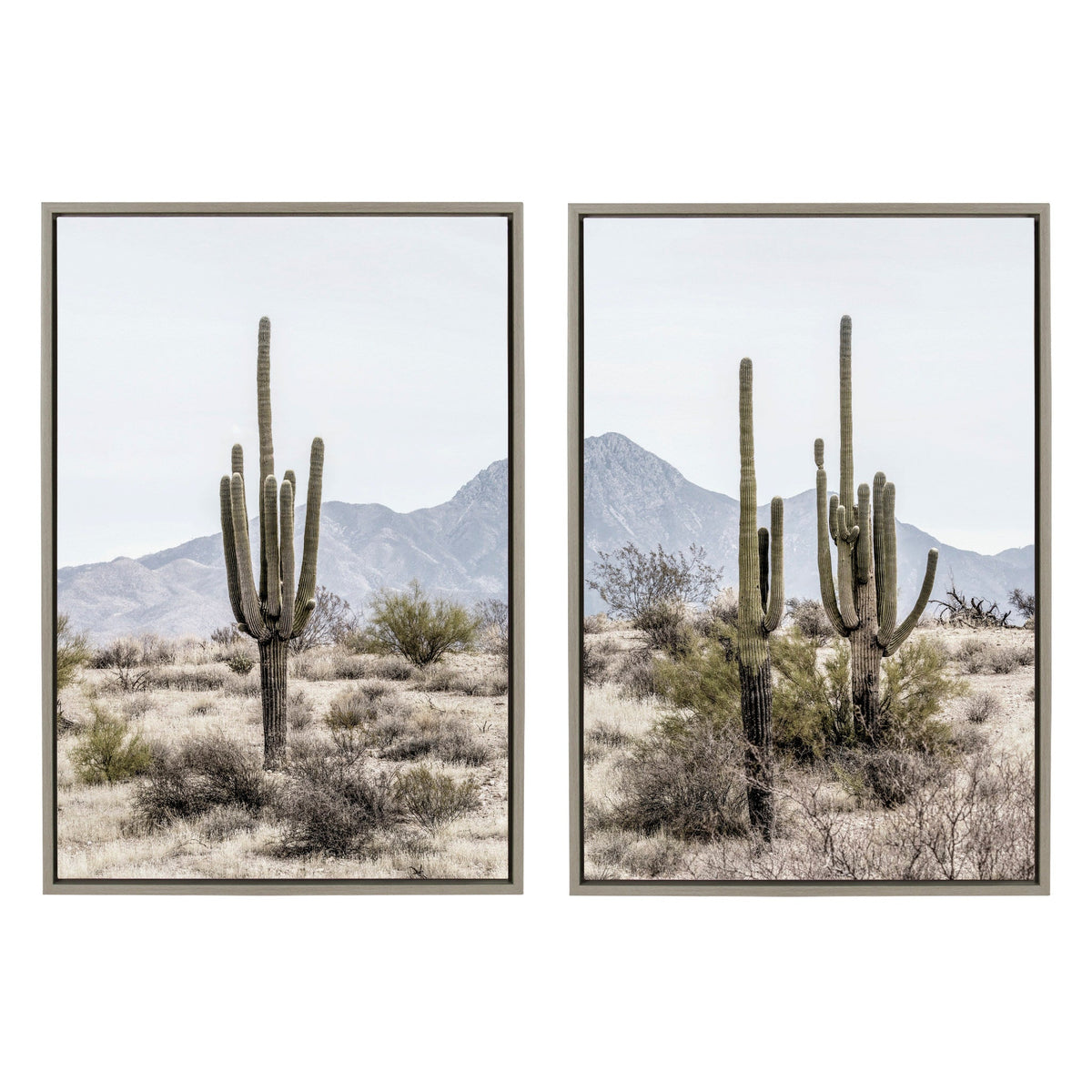 Sylvie Tall Saguaro Cacti Desert Mountain 1 and 2 Framed Canvas Set of 2 by The Creative Bunch Studio