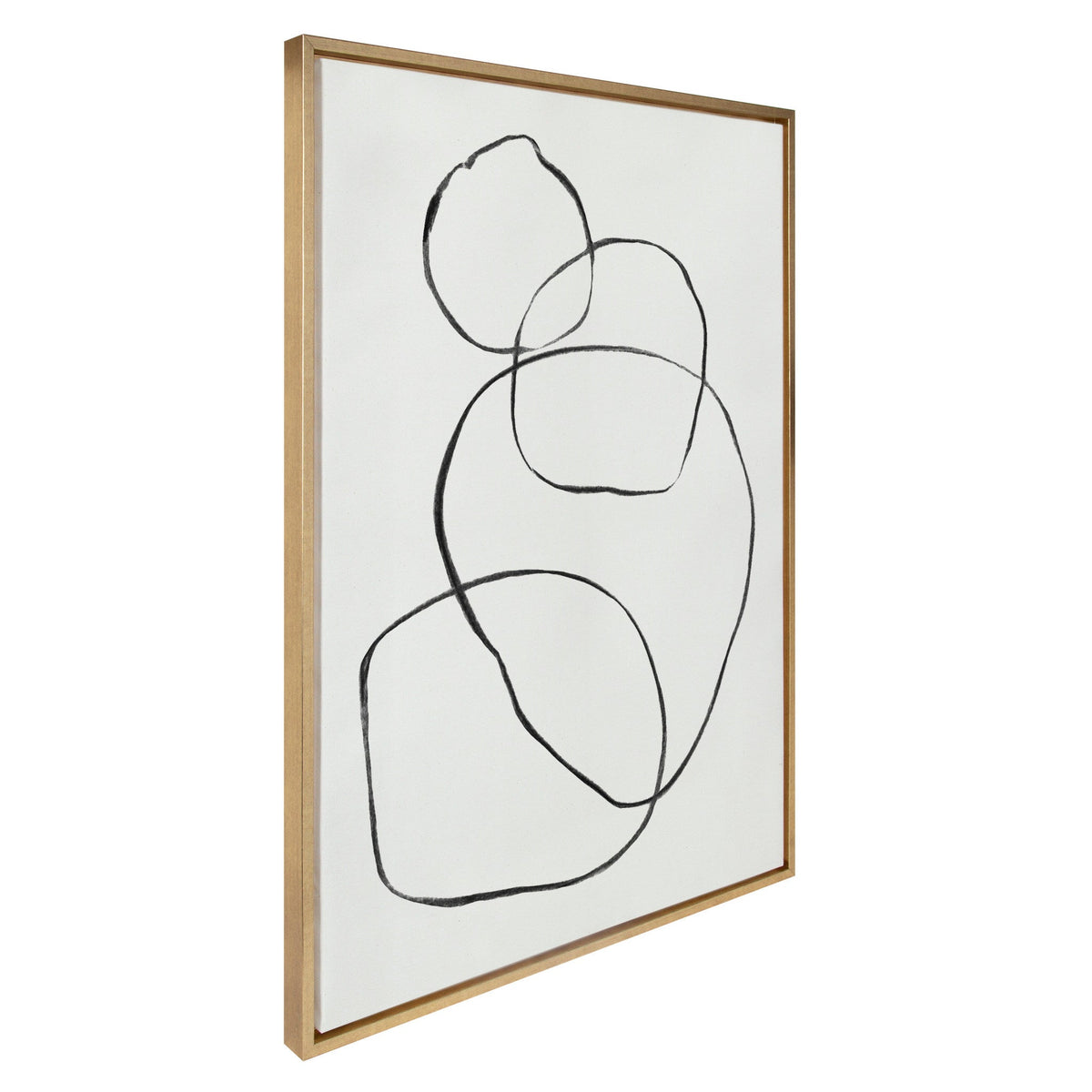 Sylvie 869 Going in Circles Framed Canvas by Teju Reval of SnazzyHues