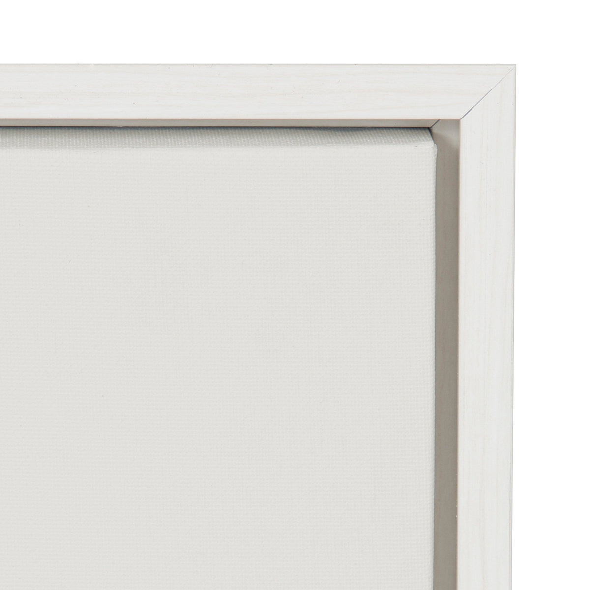 Sylvie Haze Agave Succulent Framed Canvas by The Creative Bunch Studio