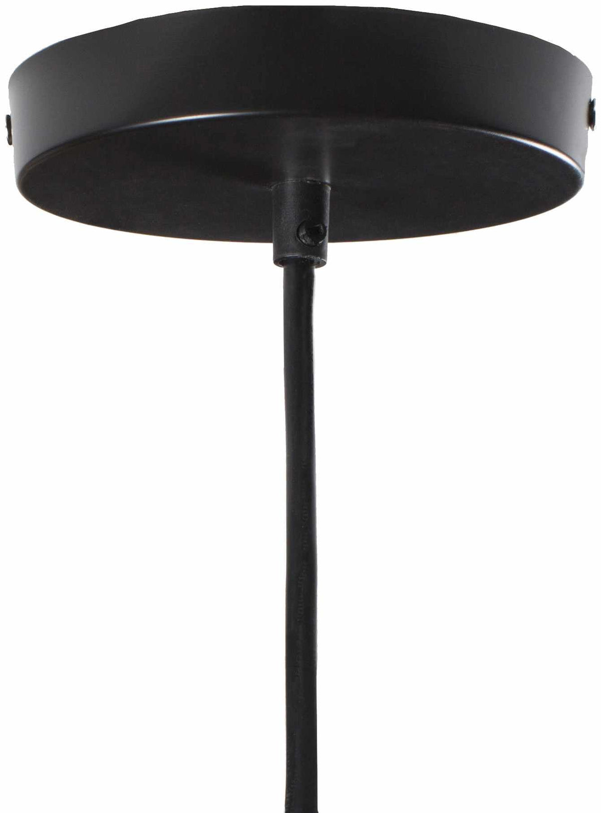Phlox Pendant Light