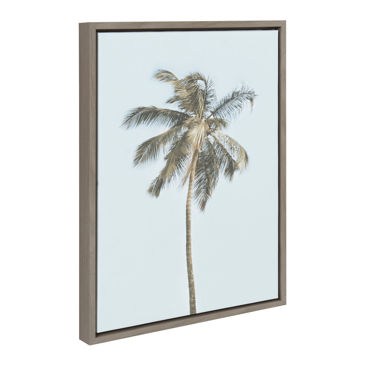 Sylvie One Coconut Palm Tree Framed Canvas by The Creative Bunch Studio