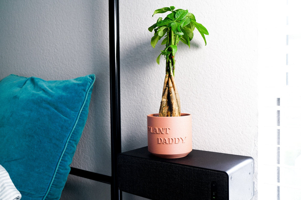 Plant Daddy Planter
