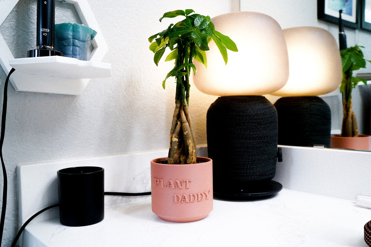 Plant Daddy Planter