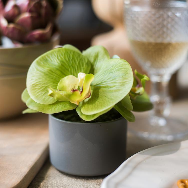 Artificial Mini Real Touch Potted Orchid Green