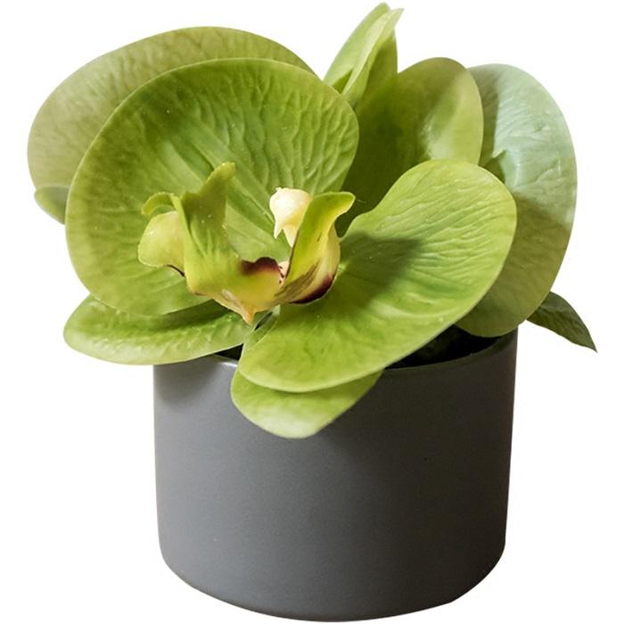 Artificial Mini Real Touch Potted Orchid Green