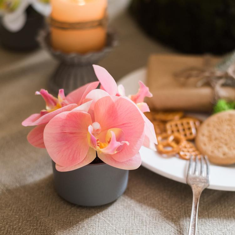Artificial Mini Real Touch Orchid in Peach Pink