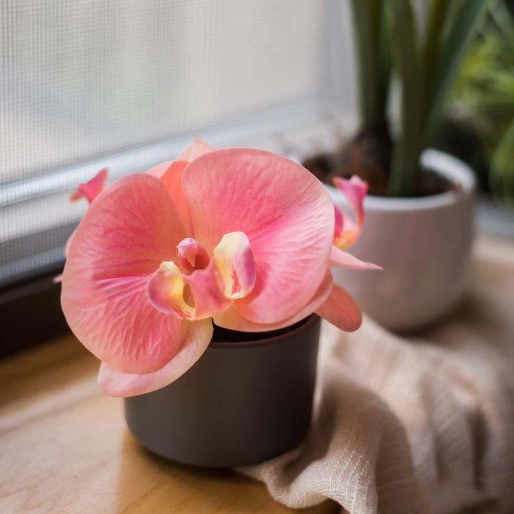 Artificial Mini Real Touch Orchid in Peach Pink