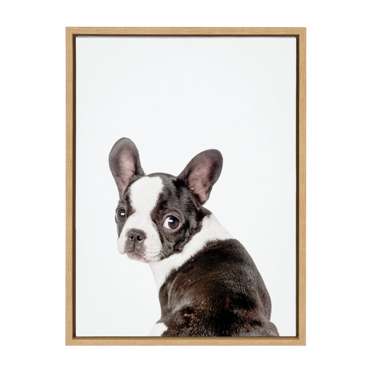 Sylvie Animal Studio French Bulldog Framed Canvas by Amy Peterson Art Studio