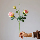 Yellow Pink