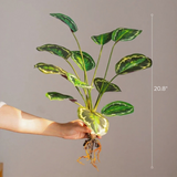 Green Variegated