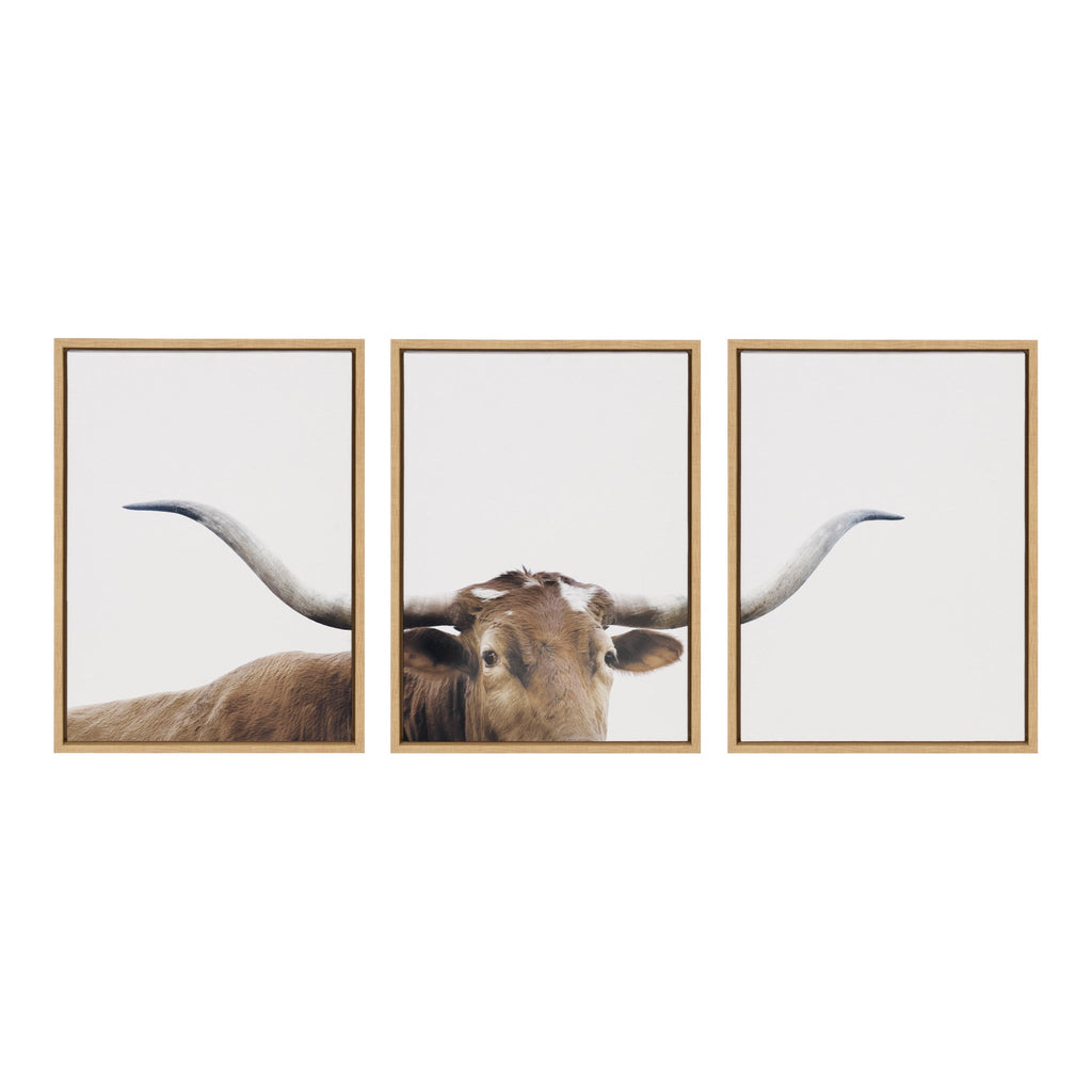 Sylvie Texas Longhorn 1 2 3 Framed Canvas Set of 3 by The Creative Bunch Studio
