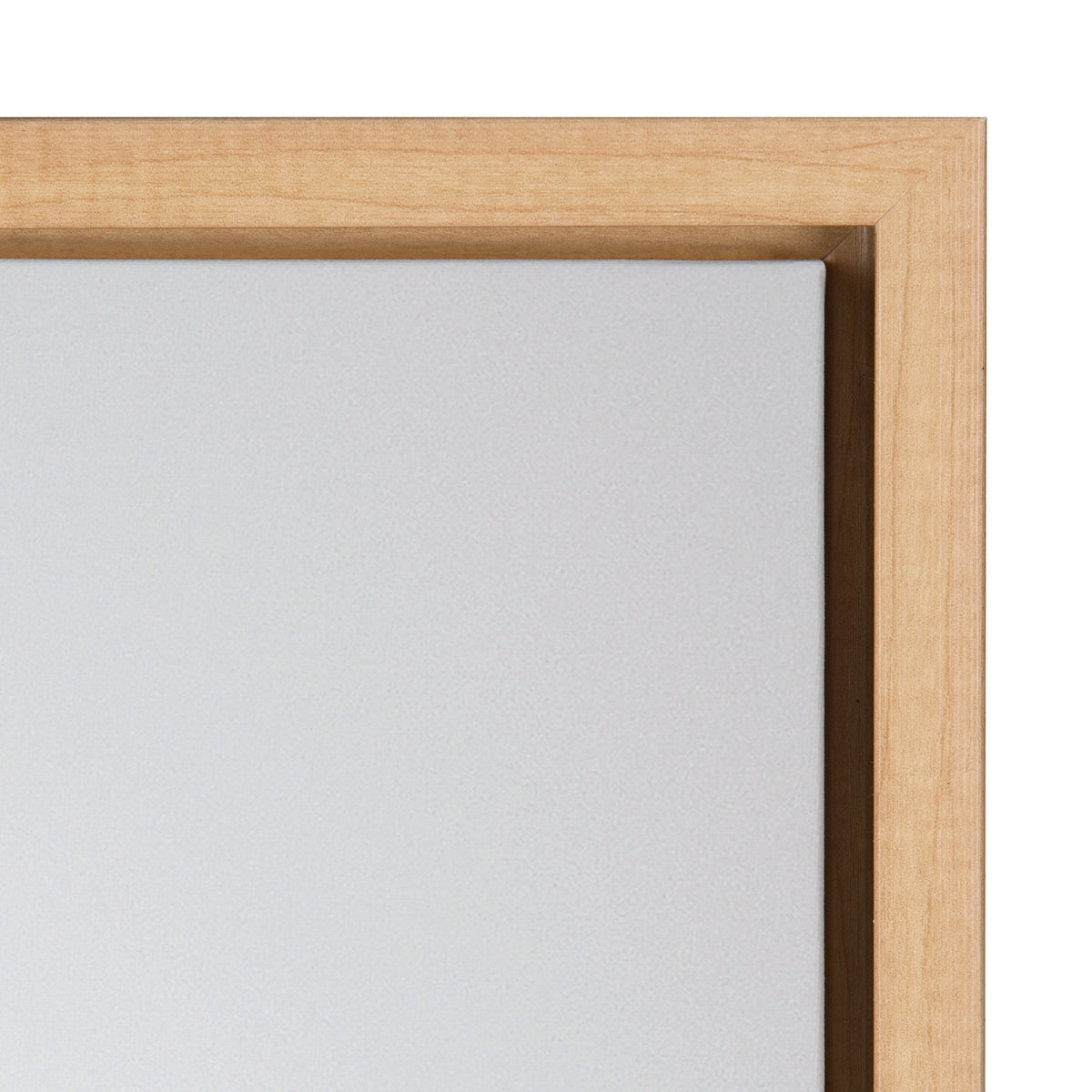 Sylvie Seagull Framed Canvas by Tai Prints