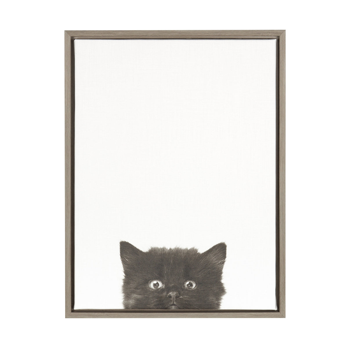 Sylvie Black Kitten Framed Canvas by Simon Te of Tai Prints
