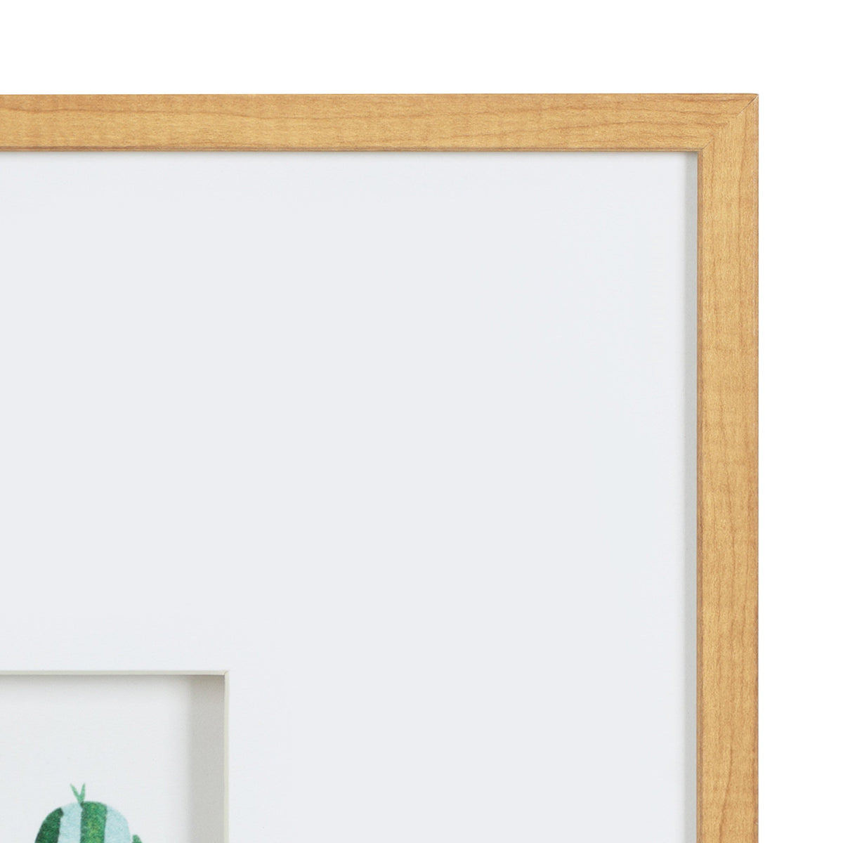 Liev Succulent Framed Print Art Set of 4 by Maja Mitrovic