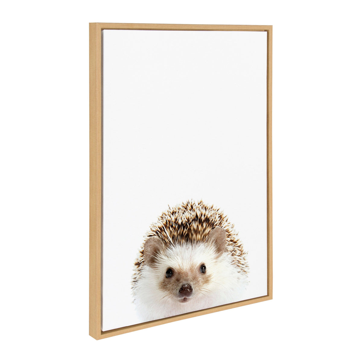 Sylvie Hedgehog, Hedgehog Donuts and Hedgehog Pineapple Framed Canvas Art Set of 3 by Amy Peterson Art Studio