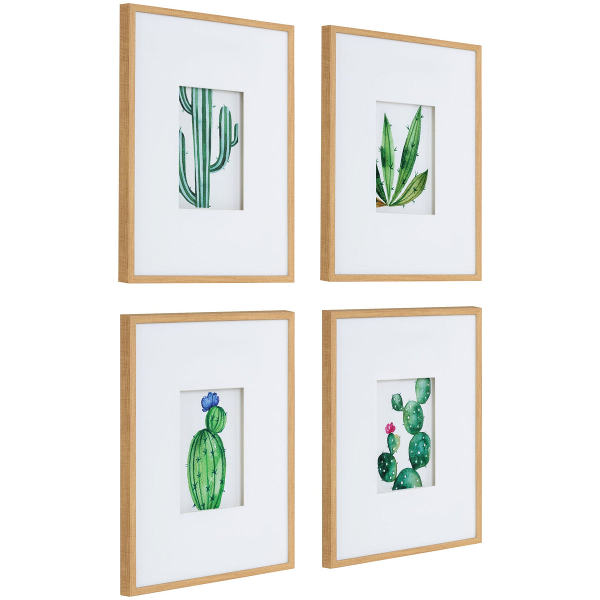 Liev Succulent Framed Print Art Set of 4 by Maja Mitrovic