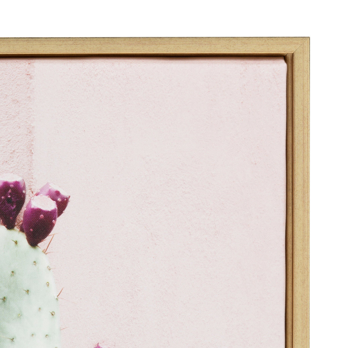 Sylvie Cactus 25 Framed Canvas by Amy Peterson