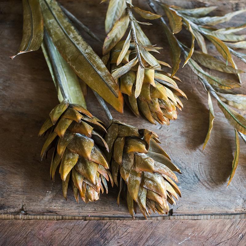 Renaissance Autumn Artificial Dried-Look Flowers and Plants