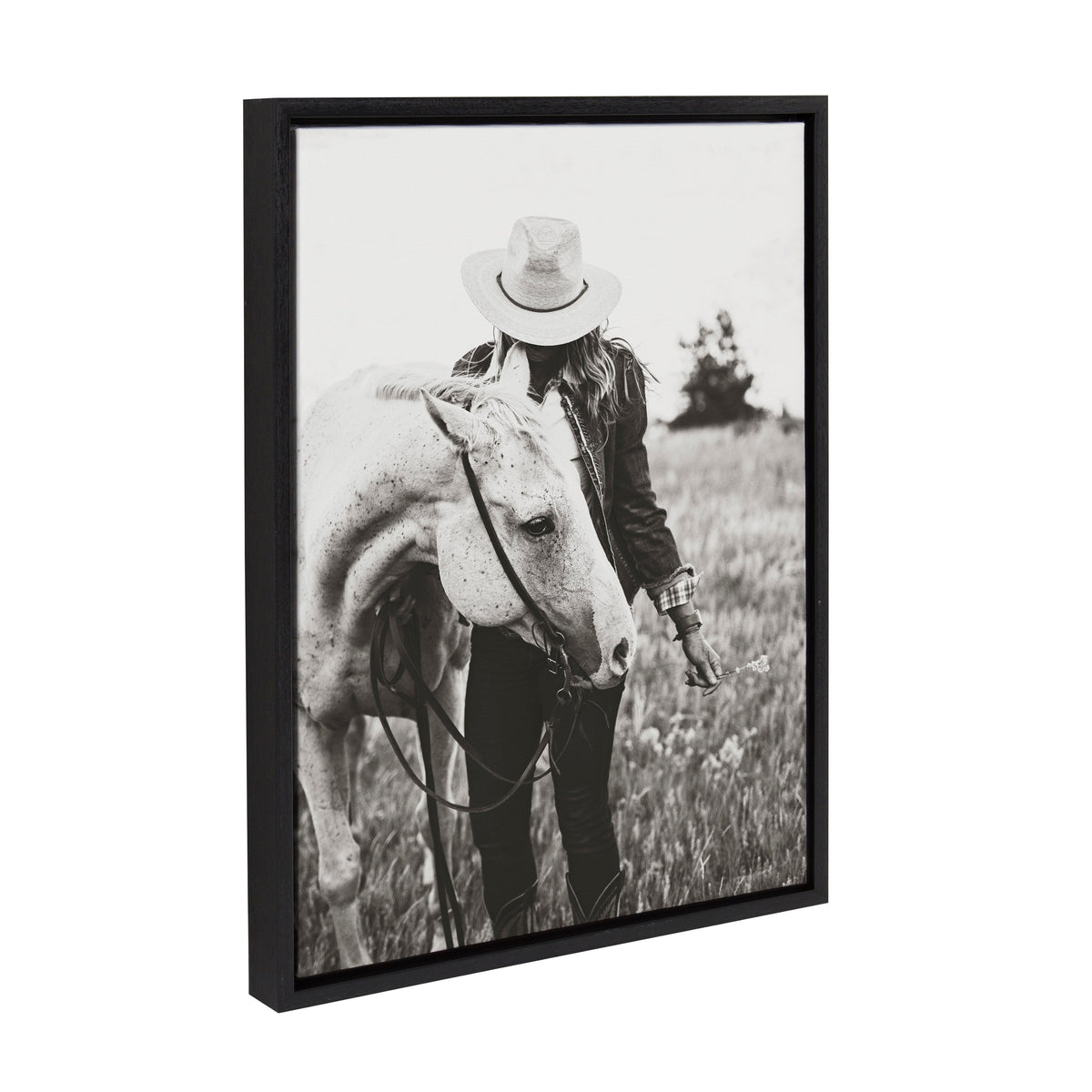 Sylvie Photo Silver Horse Framed Canvas by The Whiskey Ginger