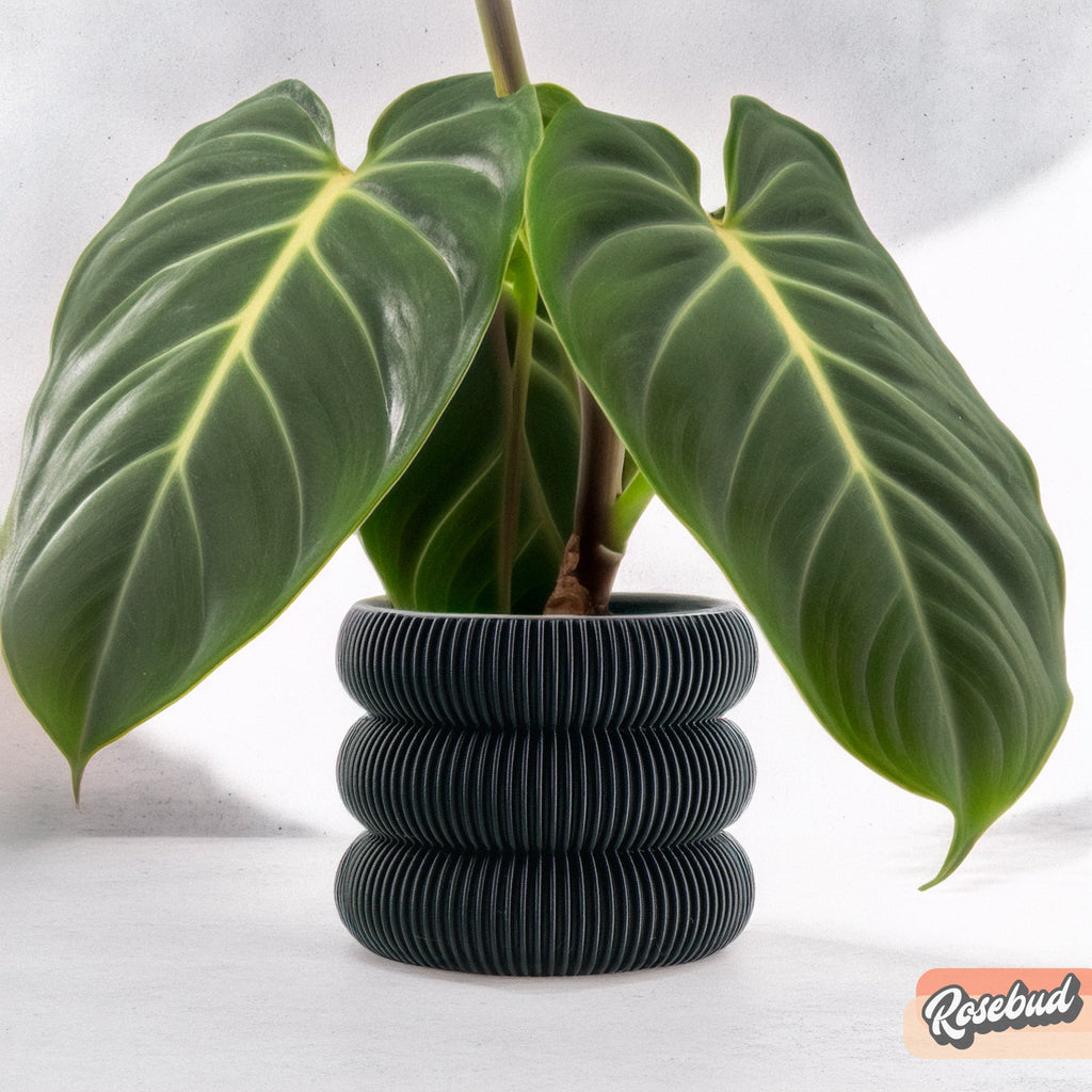 Ribbed Bubble Plant Pot With Drainage and Saucer