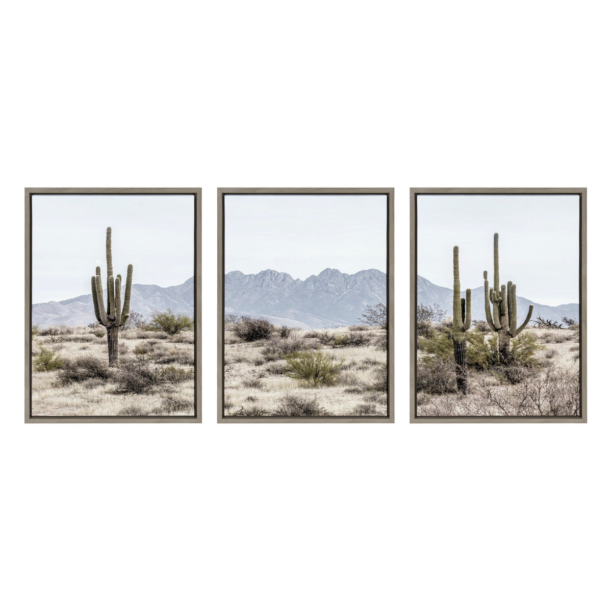 Sylvie Tall Saguaro Cacti Desert Mountain Left, Middle and Right Framed Canvas Set of 3 by The Creative Bunch Studio