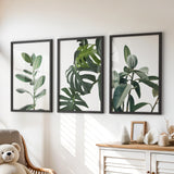 Black Frame - no mat