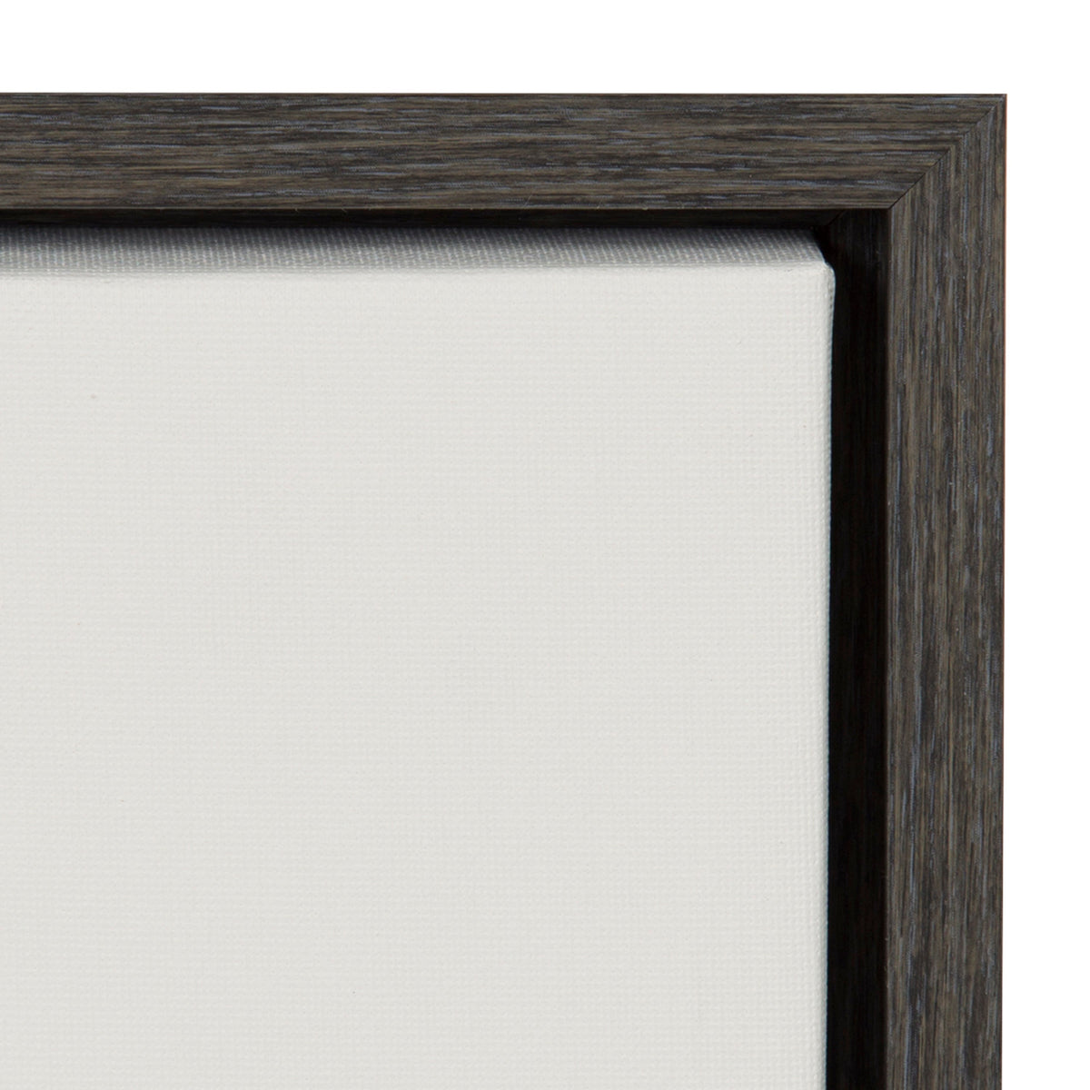Sylvie Haze Agave Succulent Framed Canvas by The Creative Bunch Studio
