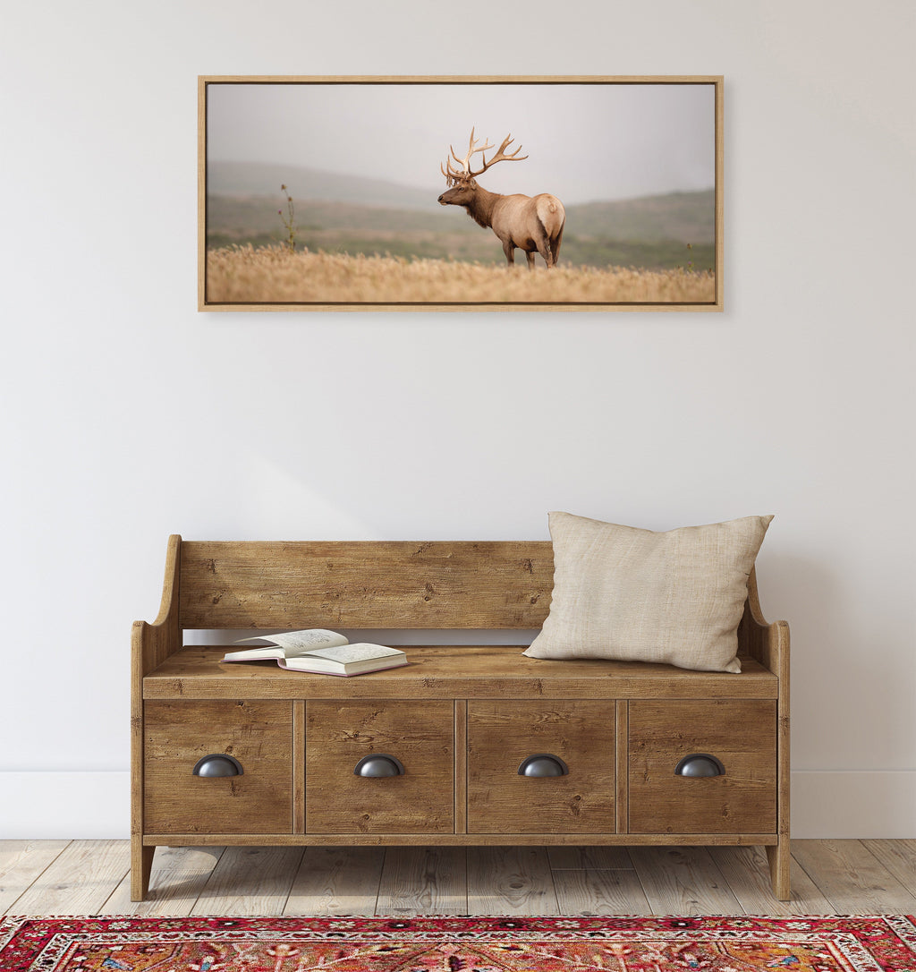 Sylvie Tule Elk No 3 Framed Canvas by Crystal Lynn Collins