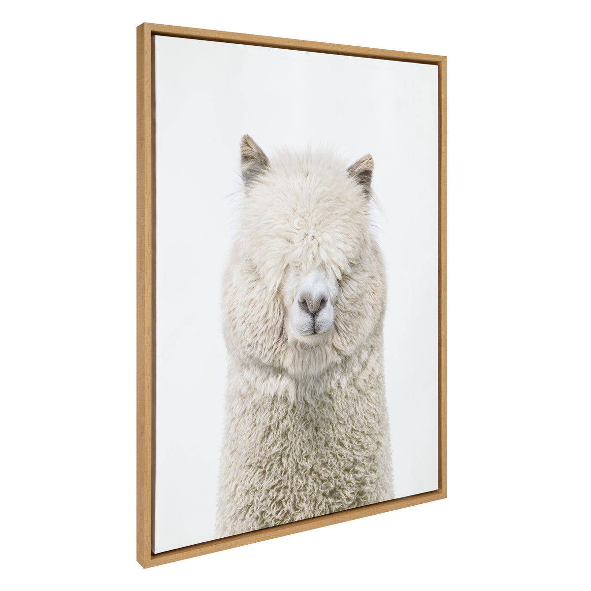 Sylvie Alpaca Fluff Framed Canvas by Amy Peterson Art Studio