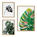 Sylvie EV Monstera, 582 Monstera and Monstera Leaves Framed Canvas Art Set of 3 by Various Artists