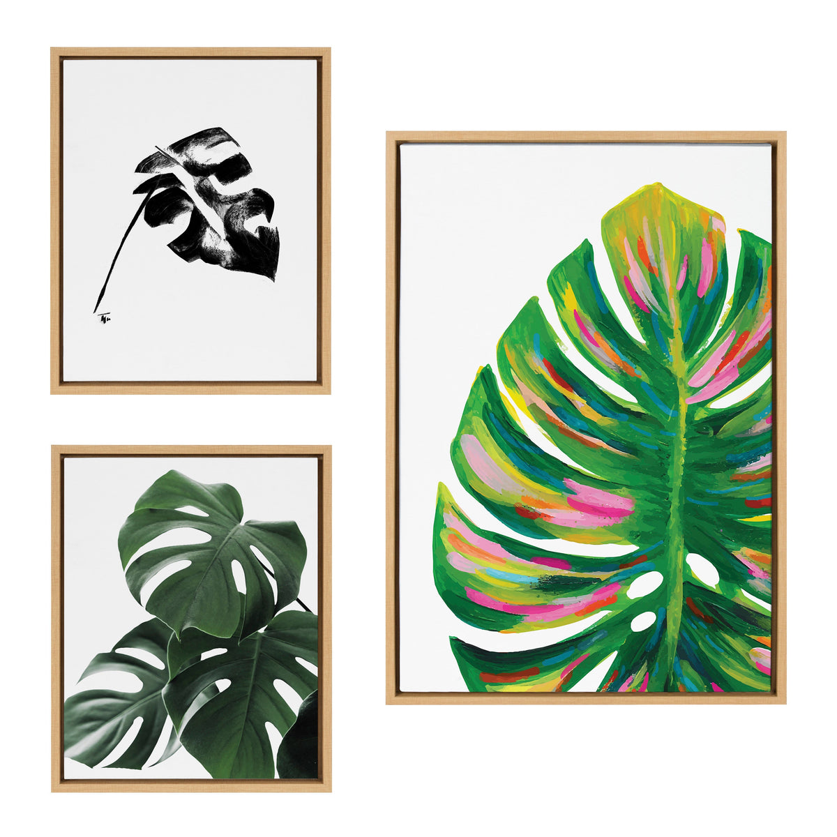 Sylvie EV Monstera, 582 Monstera and Monstera Leaves Framed Canvas Art Set of 3 by Various Artists